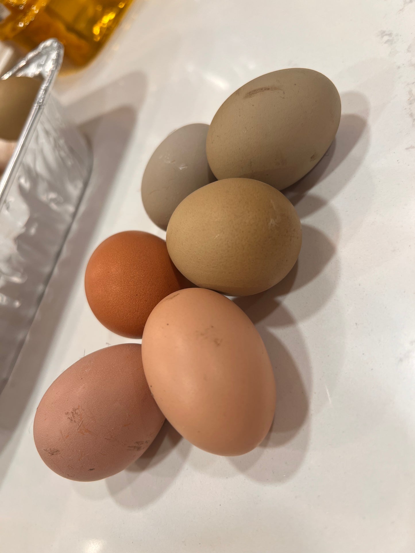 N&N Mix of Hatching Eggs
