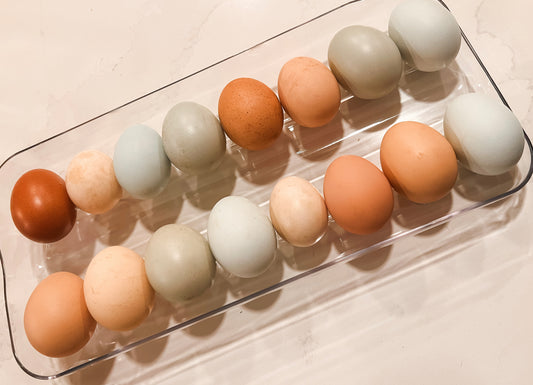 One dozen hatching eggs